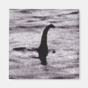 Das Foto-Magnet des Chirurgen Magnet