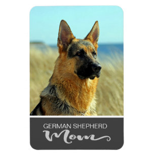 Das Foto Schäferhund-Mama-Einsatz Ihr Hundes Magnet