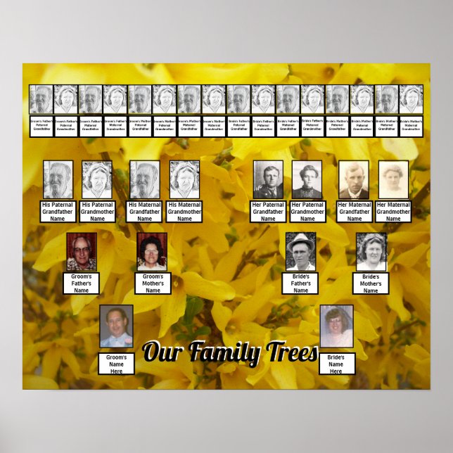 Das Foto von Forsythia Bush wird von zwei Familien Poster (Vorne)