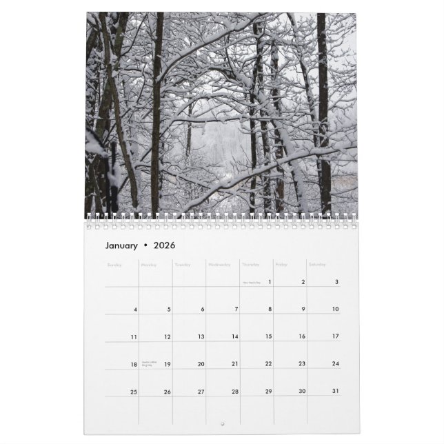 Das Fräulein Molly Photography Calendar Kalender (Jan 2026)