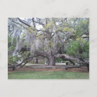 Das Freundschaftshaus 2