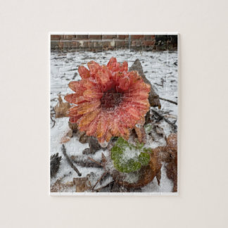 Das Frost-Küssende-Mutter-Chrysantheme-Puzzle