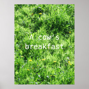 Das Frühstück einer Kuh Poster