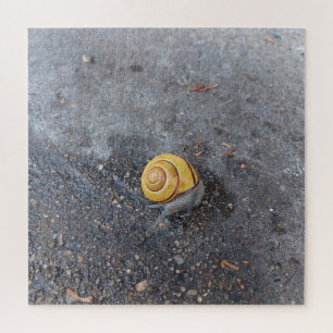 Das Garten-Schnecken-Puzzle