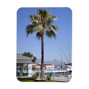 Das Gebiet des Yachtclubs Kemer mit Palmen Magnet