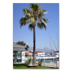 Das Gebiet des Yachtclubs Kemer mit Palmen Tischnummer