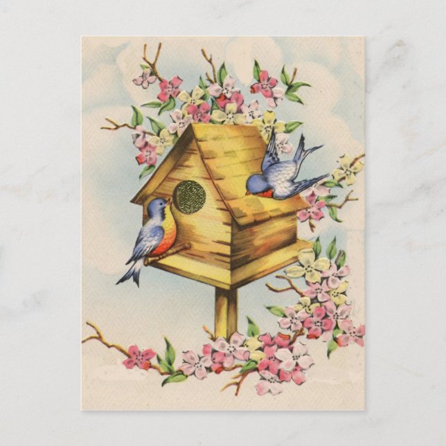 Das Geburtshaus Postkarte (Vorderseite)