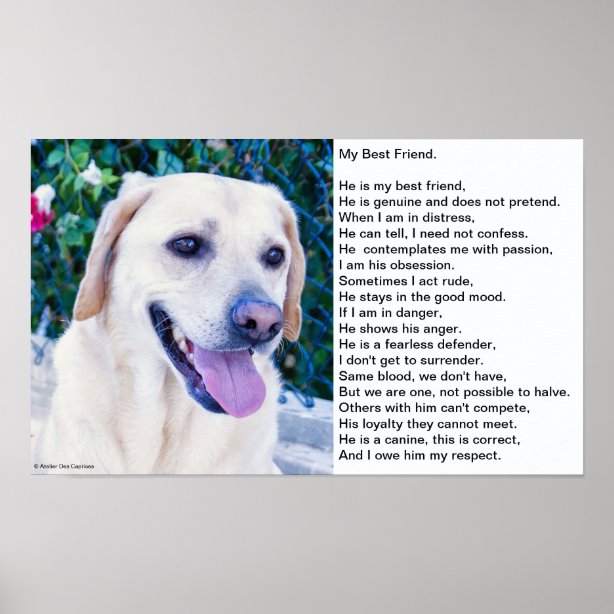 Gedicht Hund Poster Zazzle.ch