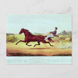 Das gefeierte Pferd, George M. Patchen Postkarte