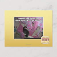 Das gefürchtete Rosa erstickt