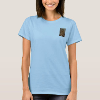 Das geheime T-Shirt der Kalypsos