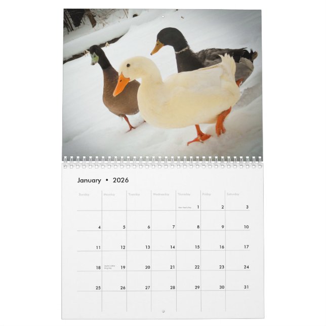 Das Gehen duckt Kalender 2015 (Jan 2026)