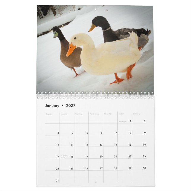Das Gehen duckt Kalender 2015 (Jan 2027)