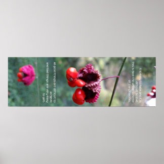 Das gesamte Schema der Dinge Poster