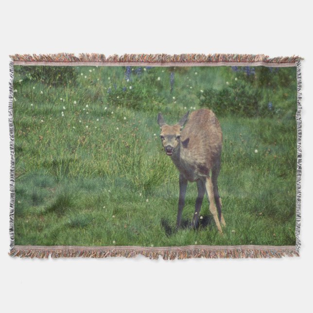 Das Gesicht Decke (Vorderseite)