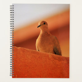 Das Gesicht des Entschlossenheit-Notebooks Planer