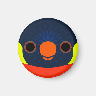 Das Gesicht eines Sonnenuntergangs Magnet