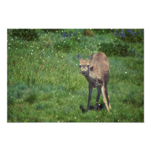 Das Gesicht Fotodruck