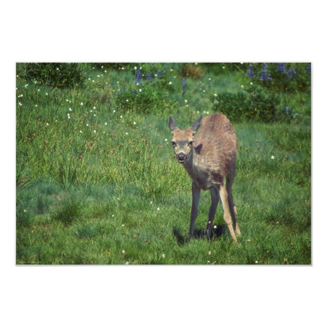 Das Gesicht Fotodruck (Vorne)