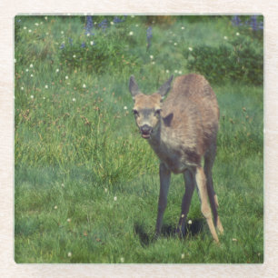 Das Gesicht Glasuntersetzer