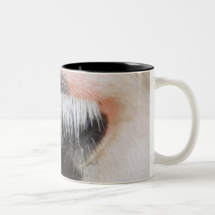 Das Gesicht Holstein-Kuh, Nahaufnahme des Auges Zweifarbige Tasse