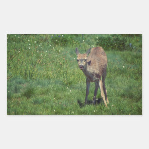 Das Gesicht Rechteckiger Aufkleber