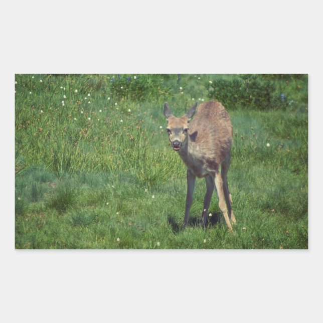 Das Gesicht Rechteckiger Aufkleber (Vorderseite)