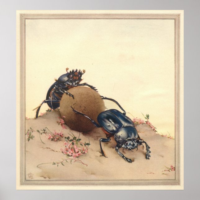 DAS GESTRICKTE SCHÖNE - Illustration des Insektenb Poster (Vorne)