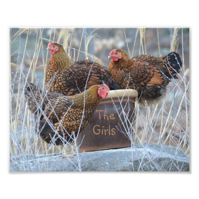 Das Girls-Hühnchen-Foto drucken Fotodruck (Vorne)