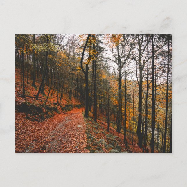 DAS GLEN DES DEVILLS, DIE BERGE DES WICKLOW, IRLAN POSTKARTE (Vorderseite)