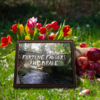 Das Glück begünstigt das tapfere Sprichwort-Bridge