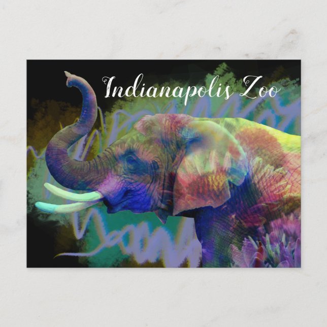 Das Glück des nasen-farbigen Elefanten Postkarte (Vorderseite)