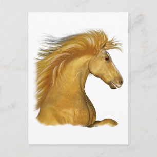 Das Golden Palomino Postkarte