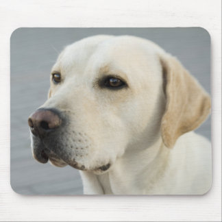 Das goldene Labrador Mousepad
