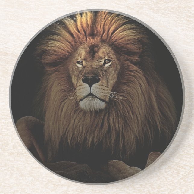 Das goldene, stolze Lion Africa Getränkeuntersetzer (Vorne)