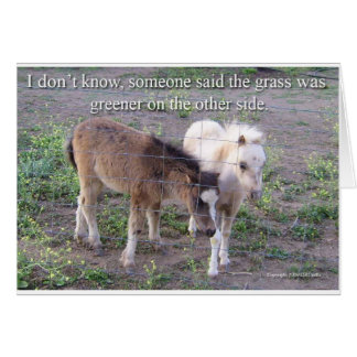 Das Gras ist grüner