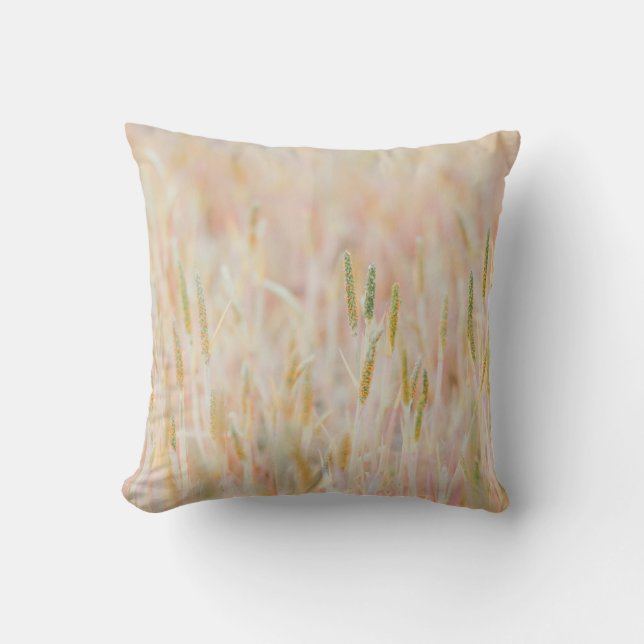 DAS GRASSLAND WURDE VON IHM IN PASTEL-FARBE UMGESE KISSEN (Vorderseite)