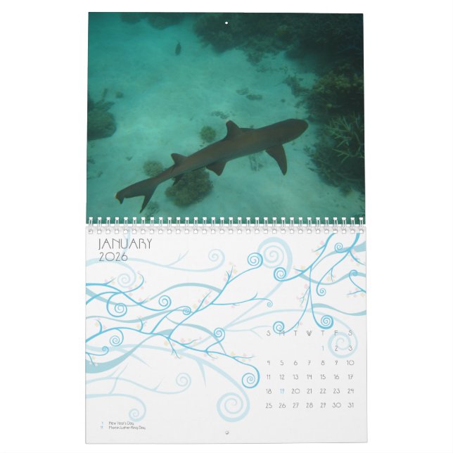 Das Great Barrier Reef, Australien Kalender (Jan 2026)