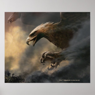 Das große Eagles-Konzept Poster