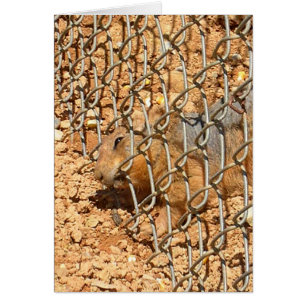 das große Entweichen