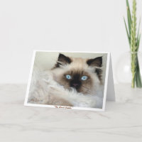 "Das GROSSE GATSBY" Gruß-Karte