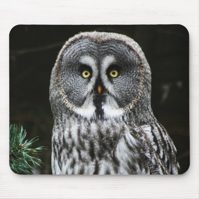 Das große graue Owl mpcnm Mousepad (Vorne)