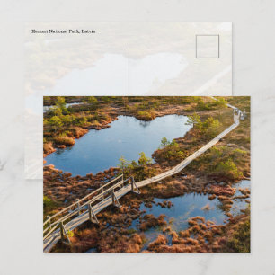 Das große Kemeri-Moor-Boardwalk, Lettland Postkarte