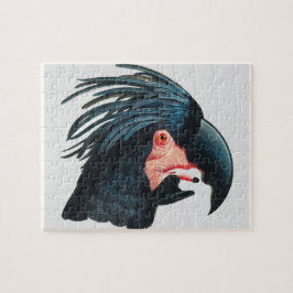 Das Große Schwarze Kakadu von Francois Levaillant.