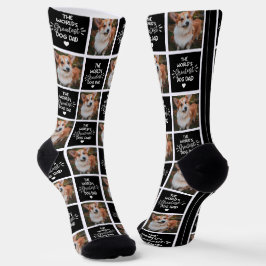 Das größte Hunde-Vater der Welt Socken