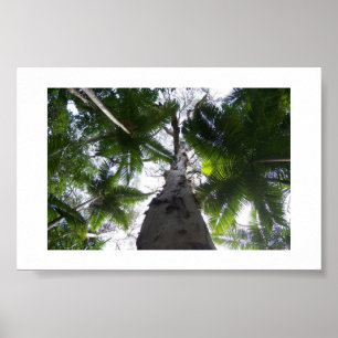 Das Grün über Australien - Farbfotografie Poster