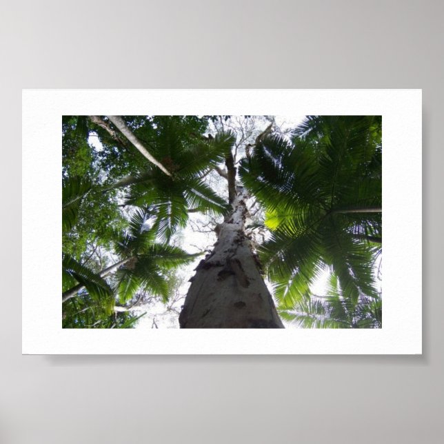 Das Grün über Australien - Farbfotografie Poster (Vorne)