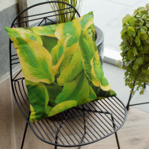 Das grüne und gelbe Hosta Verlasse floral
