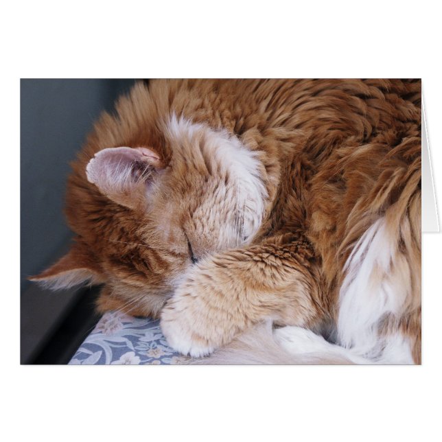 Das Halleluiah (Vorderseite (Horizontal))