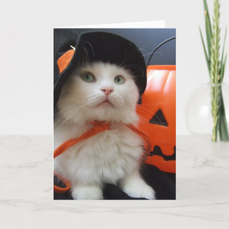 Das Halloween einer Katze Karte